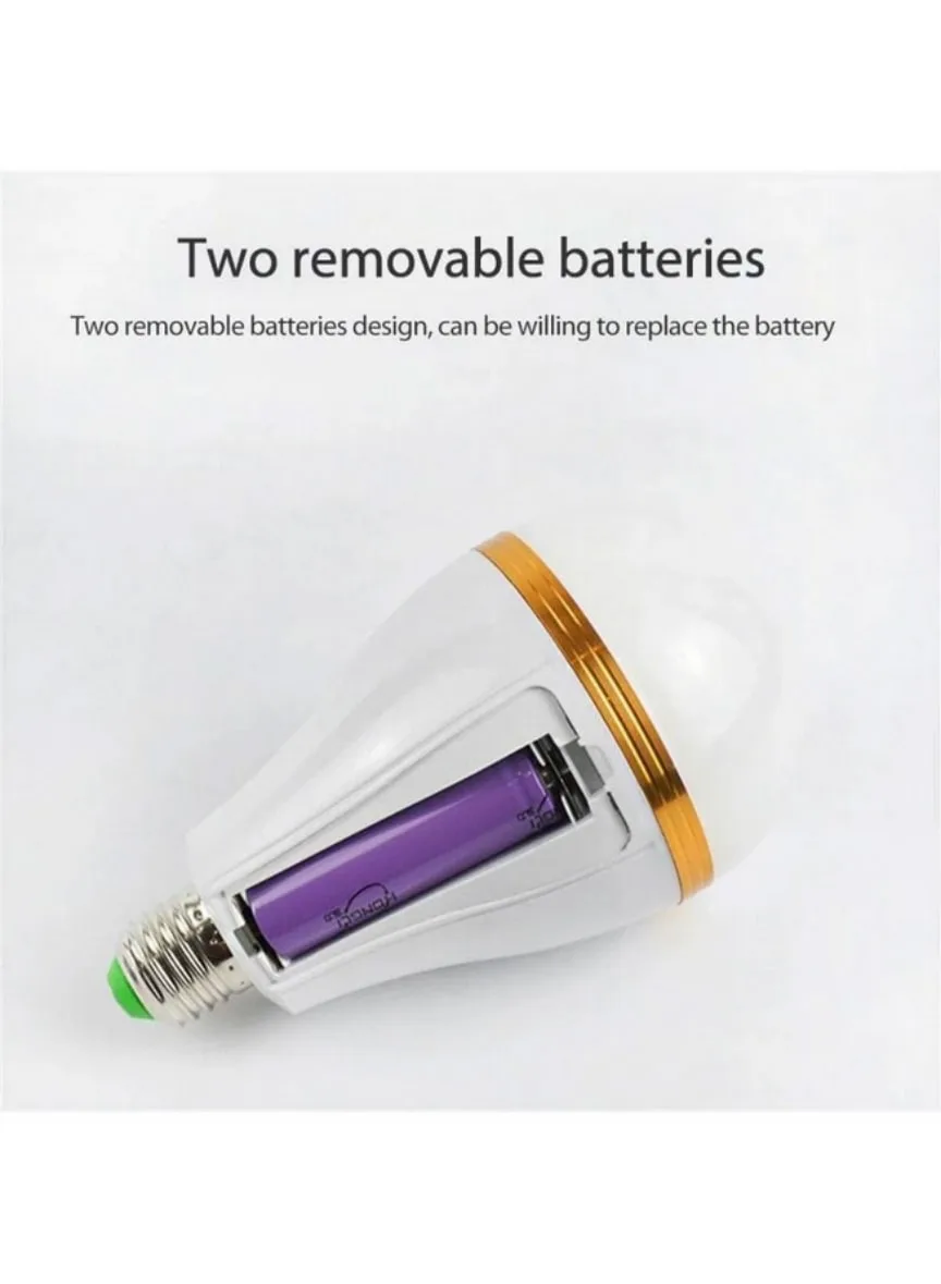 25 W Rechargeable Lamp