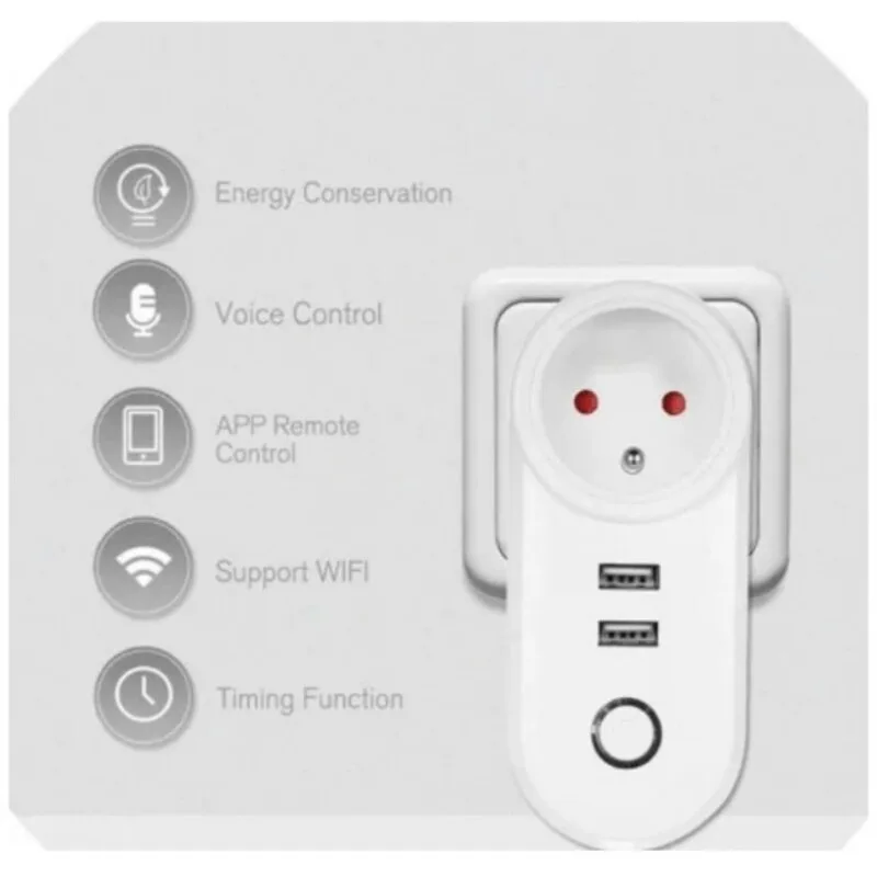 Smart Plug USB DUO