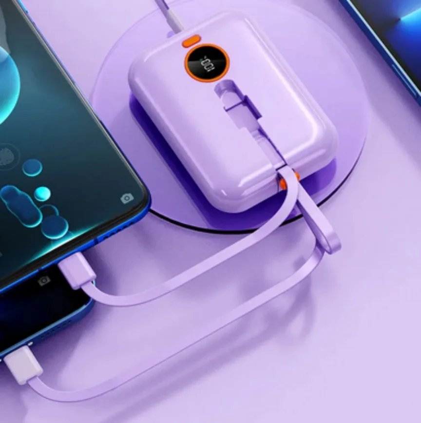 Fast Charging Power Bank
