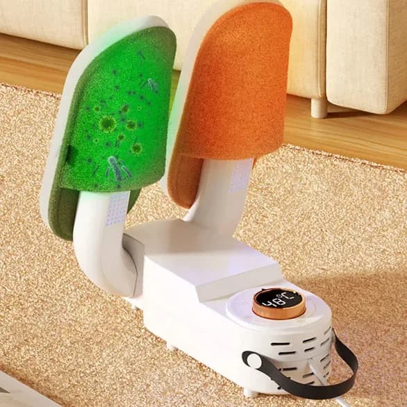Intelligent Shoe Dryer
