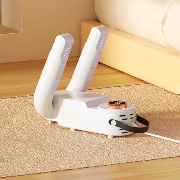 Intelligent Shoe Dryer